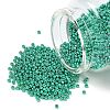 MIYUKI Round Rocailles Beads SEED-X0054-RR5105-1
