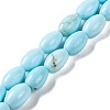 Natural Howlite Beads Strands G-H025-02A-1