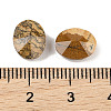 Natural Picture Jasper Cabochons G-C146-02C-3