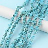 Natural Howlite Beads Strands X-G-G0003-B21-2