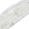 Natural Quartz Beads Strands G-B046-01D-1