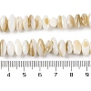 Natural Anomaly Freshwater Shell Beads Strands BSHE-S304-05B-4