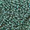 TOHO Round Seed Beads X-SEED-TR11-0953-2