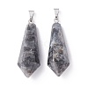 Natural Larvikite Pointed Pendants G-I314-02P-10-2