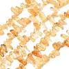 Heated Natural Citrine Beads Strands G-F821-C04-01-2