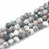 Natural Tree Agate Beads Strands X-G-T106-038-1