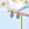 Enamel Arch Hoop Earrings JE1109C-3