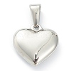 304 Stainless Steel Pendants X-STAS-P278-01T-P-2