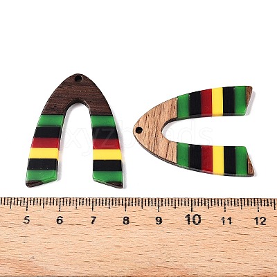 Jamaican Colour Epoxy Resin & Walnut Wood Pendants RESI-N039-122Q-1