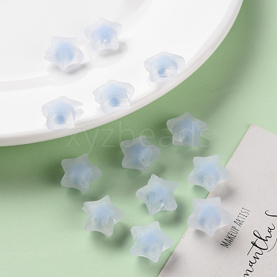 Transparent Acrylic Beads TACR-S152-02C-SS2113-1