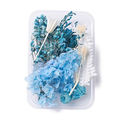 Dried Flowers X-DIY-D052-10-1