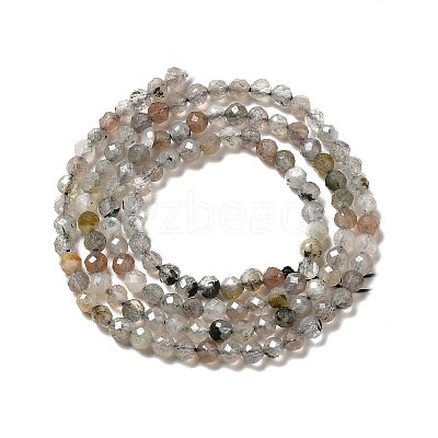 Natural Labradorite Beads Strands G-I341-11-1