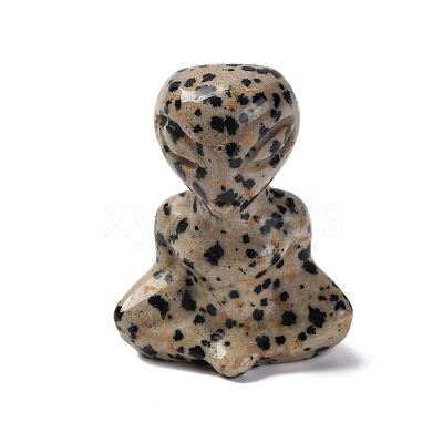 Natural Dalmatian Jasper Display Decorations DJEW-P019-E02-1