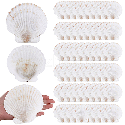 60Pcs Natural Shell Jewelry Decorative Plate AJEW-GA0009-64A-1