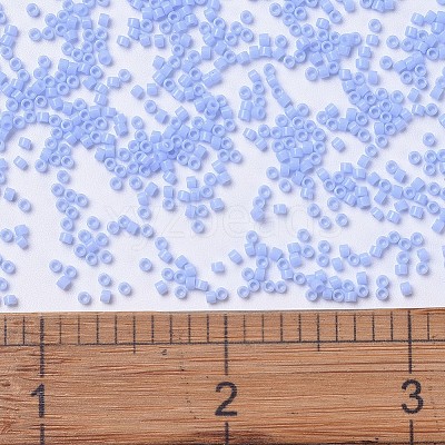 MIYUKI Delica Beads SEED-J020-DB1137-1