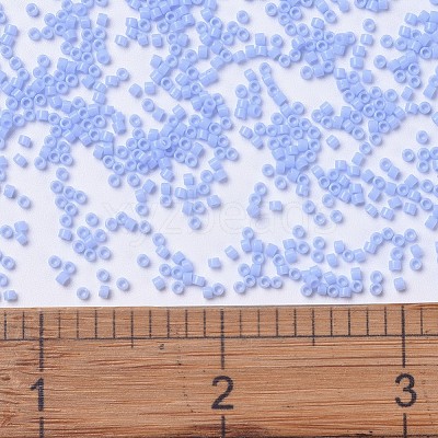 MIYUKI Delica Beads SEED-X0054-DB1137-1