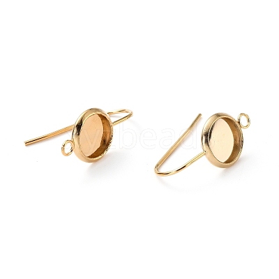 304 Stainless Steel Earring Hooks STAS-F271-01A-G-1