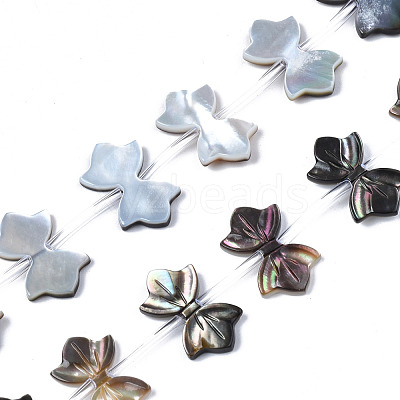 Natural Black Lip Shell Beads Strands SSHEL-S278-123A-1