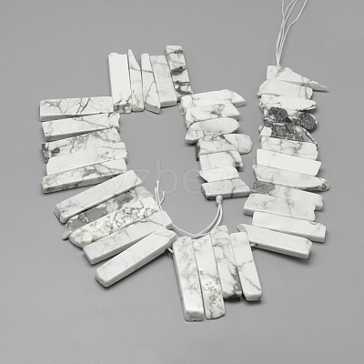 Natural Howlite Beads Strands G-R419-21-1