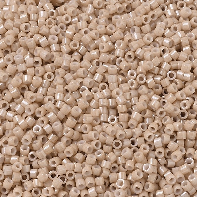 MIYUKI Delica Beads X-SEED-J020-DB0208-1