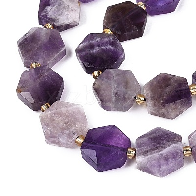 Natural Amethyst Beads Strands G-N368-01A-10-1
