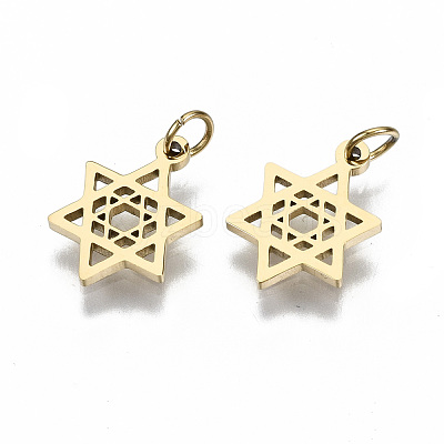 304 Stainless Steel Pendants STAS-S116-046G-1