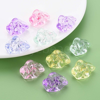 Transparent Acrylic Beads MACR-S373-74-B-1