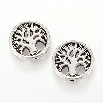 Tibetan Style Alloy Beads X-TIBEB-Q067-26AS-NR-1