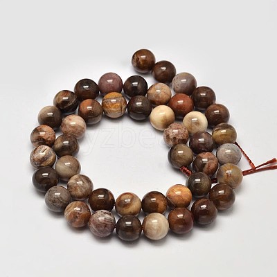 Natural Petrified Wood Round Bead Strands G-F266-08-8mm-1