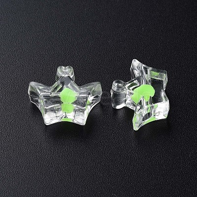 Transparent Acrylic Beads LS-MACR-S373-105-B06-1