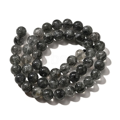Natural Biotite Beads Strands G-F784-A03-02-1