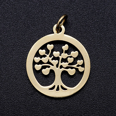304 Stainless Steel Pendants STAS-T046-JA350-2A-1