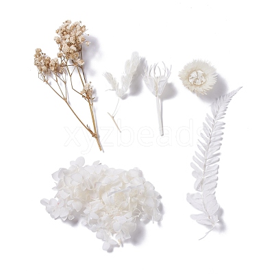 Dried Flowers X-DIY-D052-04-1