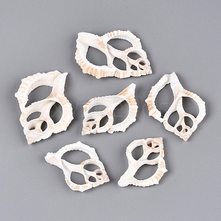 Natural Shell Big Pendants BSHE-T015-20-1