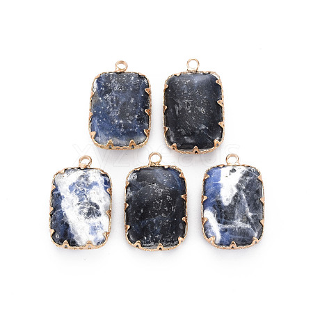 Natural Sodalite Pendants G-S359-290A-1