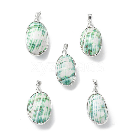 Natural Sea Shell Pendants SHEL-F005-01P-1