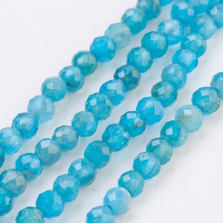 Natural Apatite Beads Strands G-F568-135-2mm-1