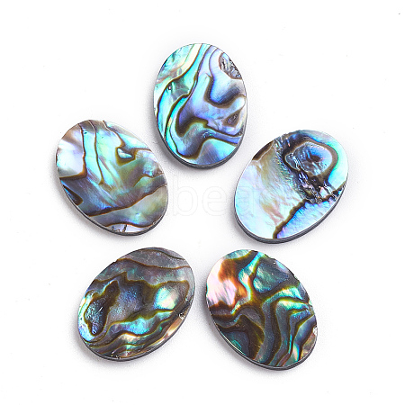 Natural Abalone Shell/Paua Shell Cabochons LS-SSHEL-L017-003-1