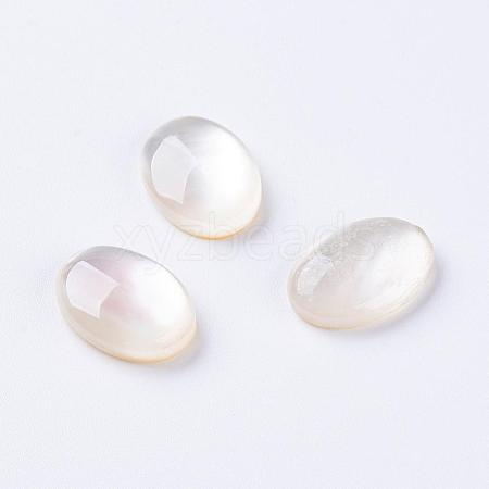 Shell Cabochons G-L470-15-1