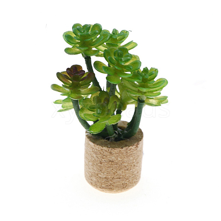 Plastic Potted Plant Mini Model PW-WGD7CCF-04-1