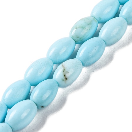 Natural Howlite Beads Strands G-H025-02A-1