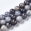 Natural Iolite Beads Strands G-N328-50C-01-1