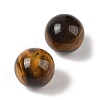 Natural Tiger Eye No Hole Sphere Beads G-K353-04D-04-2