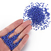 12/0 Glass Seed Beads SEED-S005-8-5