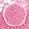 Baking Paint Glass Seed Beads X1-SEED-K010-A13-3