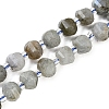 Natural Labradorite Beads Strands G-G182-B02-02-1