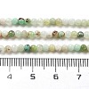 Natural Serpentine Beads Strands G-G161-D24-01-5