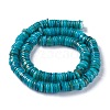 Natural Freshwater Shell Beads Strands X-BSHE-I016-04C-2