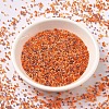 MIYUKI Delica Beads SEED-MY11-DB2062-2