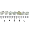 Watermelon Stone Glass Beads Strands G-K362-F01-01-5